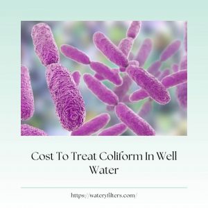 Cost-To-Treat-Coliform-In-Well-Water