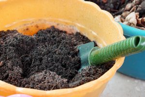 Plant Treatment Use of Potting Soil