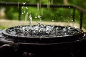 Rain Water – An Alternative