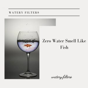 Zero-Water-Smell-Like-Fish